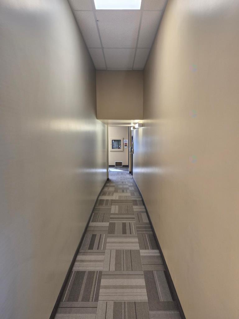 media (5)